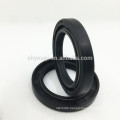 Standard/Nonstandard Rotary Oil Seal Double Lip Skeleton Rubber Oil Seal with Double Spring